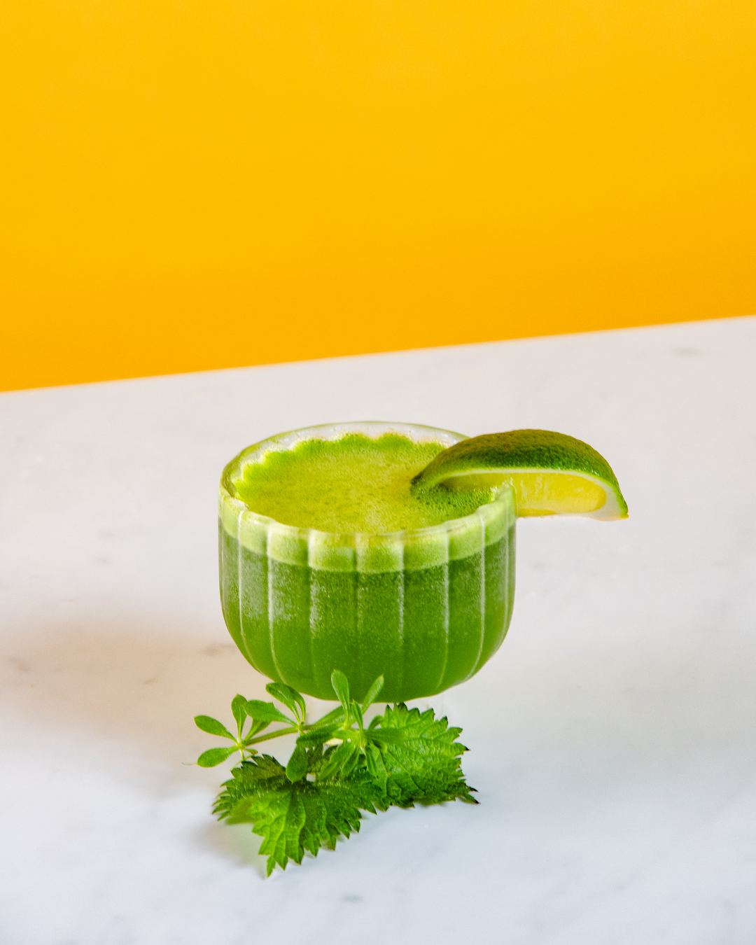 Gimlet Fourragère  – Renais