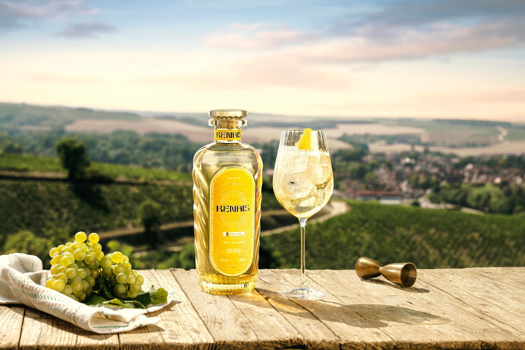 Renais Terroir Gin and a spritz beside French wine grapes, overlooking the vineyard